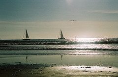 ocean sailboats
